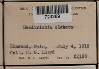 Image Associated With the Occurence